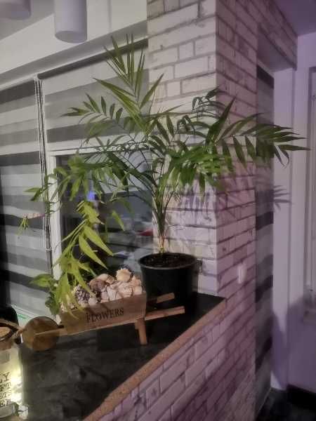 Продава се Двустаен апартамент в с. Марково, Област Пловдив - 60 кв.м за 1870 €/кв.м - Снимка #5