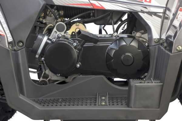 nitro motors QUABLO RS10 MAXI 200CC 10 inch AUTOMATIC + RG