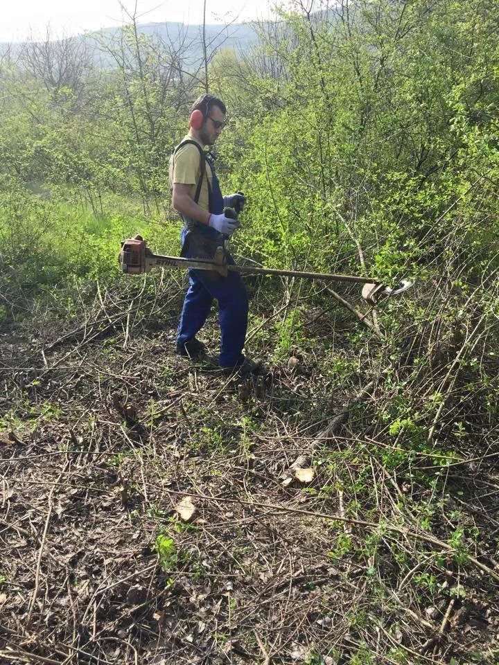 Предлагам почистване на дворове и градини и събаряне на опасни дървета