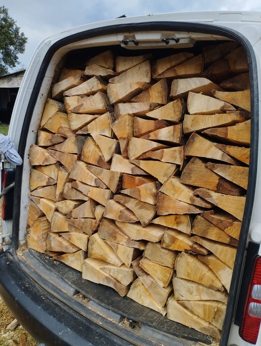 Lemne de foc fag capete uscate sau verzi 600.lei tona