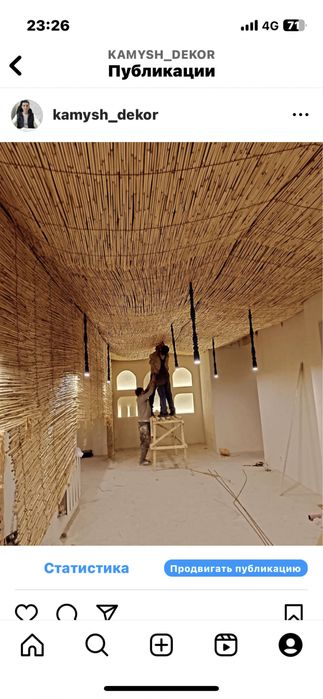 Декоративный камыш