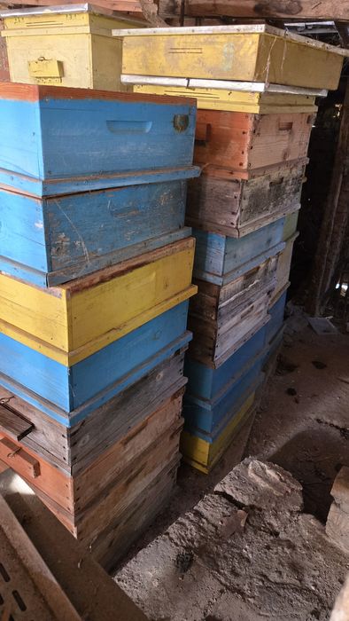 Пчелни кошери Дадан Блат