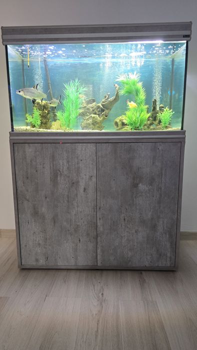 Vând acvariu 200L