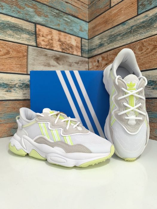 Tommy Hilfiger/Puma/Adidas/Cavalli/Armani