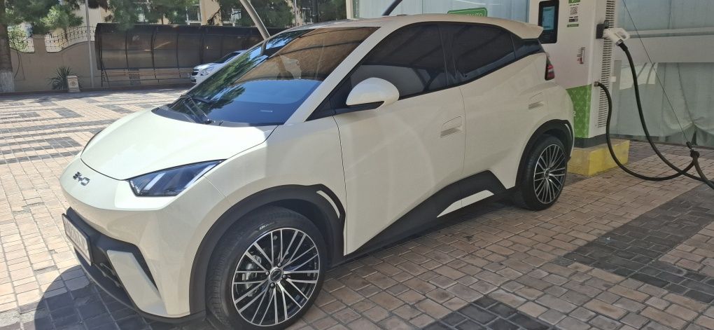 Byd seagull 2023