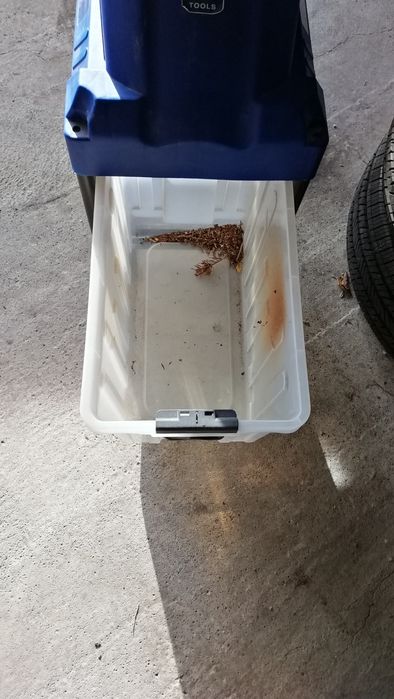 Храсторез за естествена тор от клонки