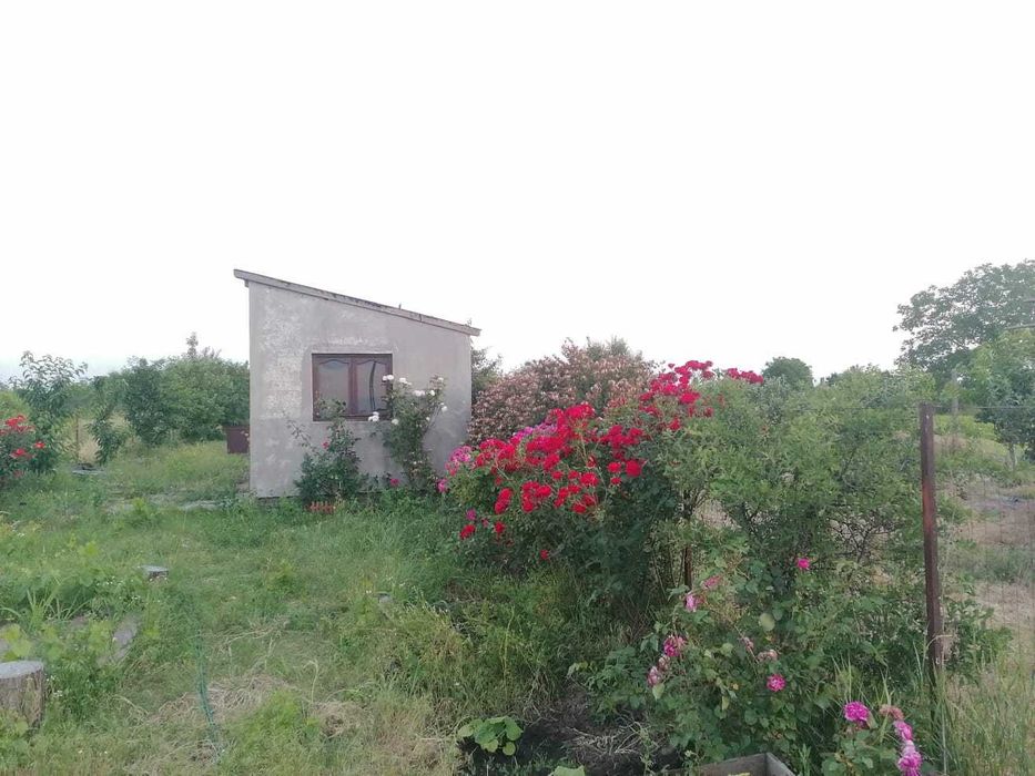 Teren 837 mp în Focșanei, Buzău – locul unde poți construi ACASĂ