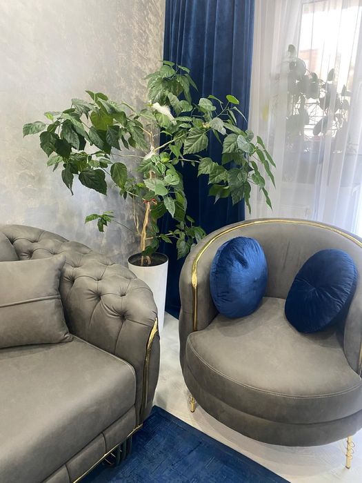 Set canapea cu 2 fotolii