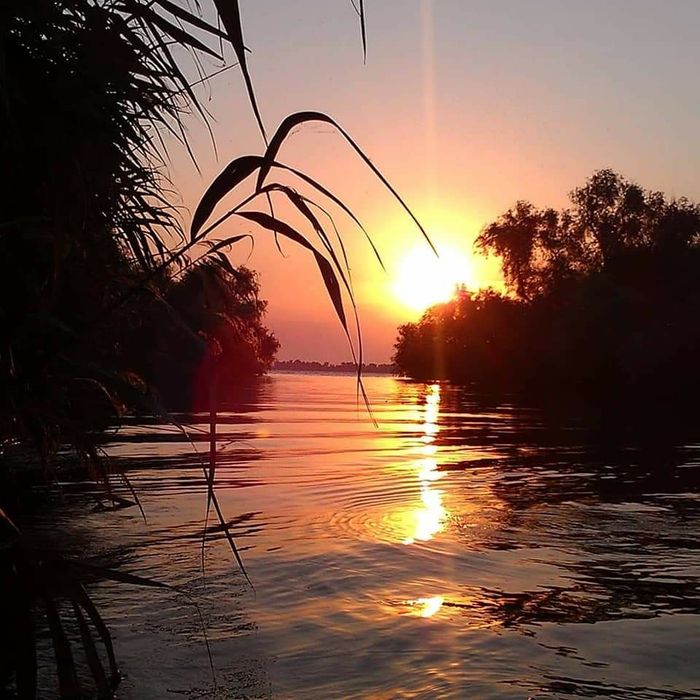 Excursii in Delta Dunarii cu barca
