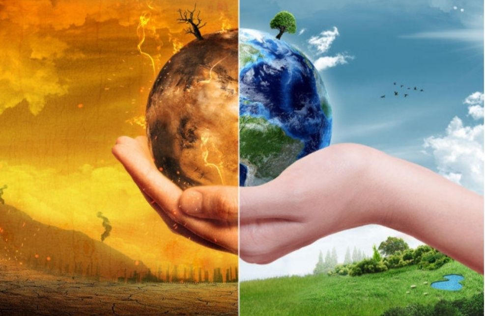 Экалогиядан хулоса олишга олайн ариза топширамиз