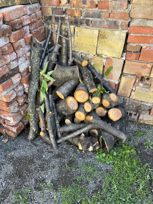 Подарявам дърва