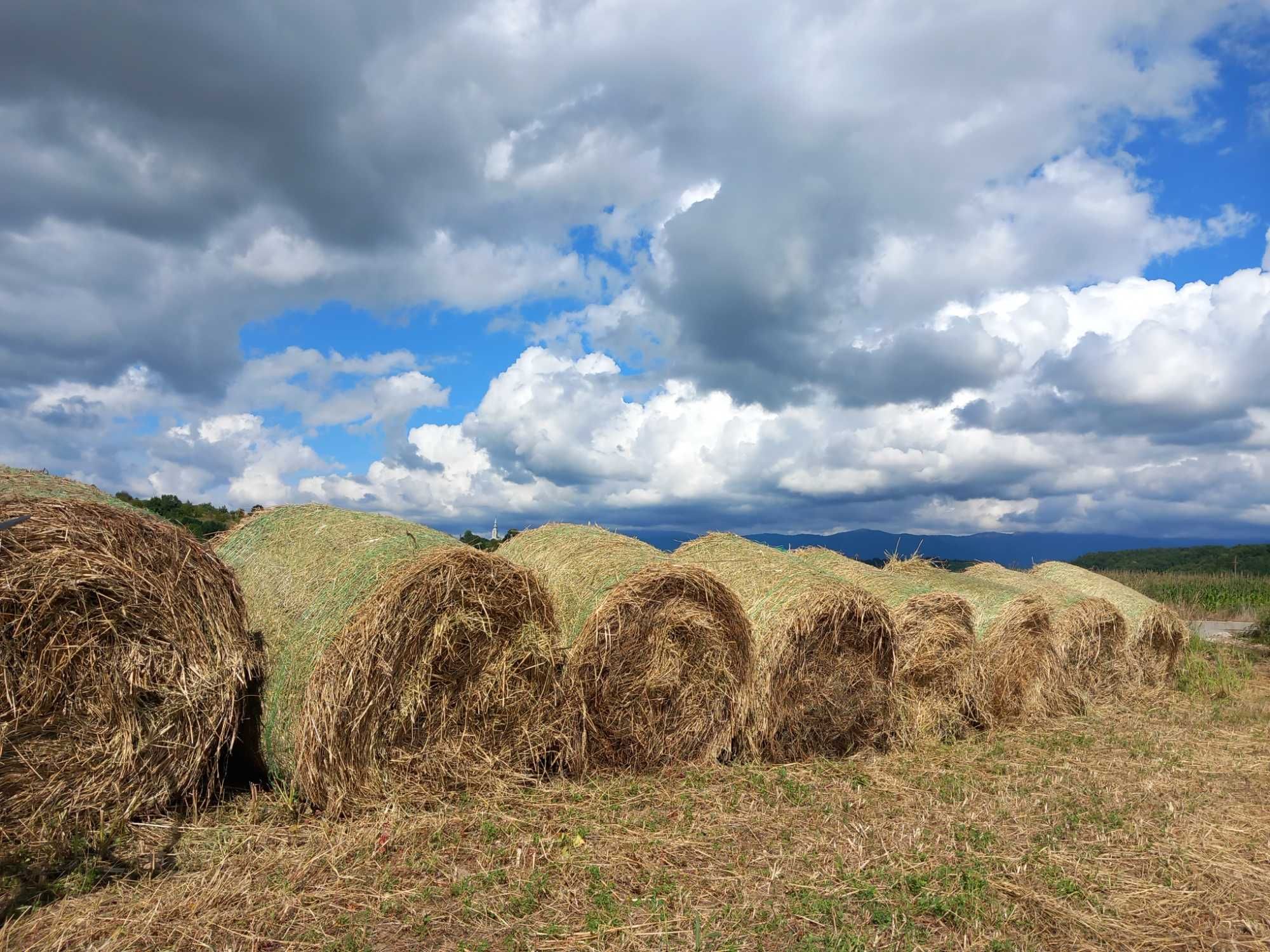 Baloți din amestec lucernă-fân