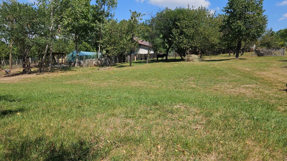 Teren 537 mp Str. Garofiței, nr. 23