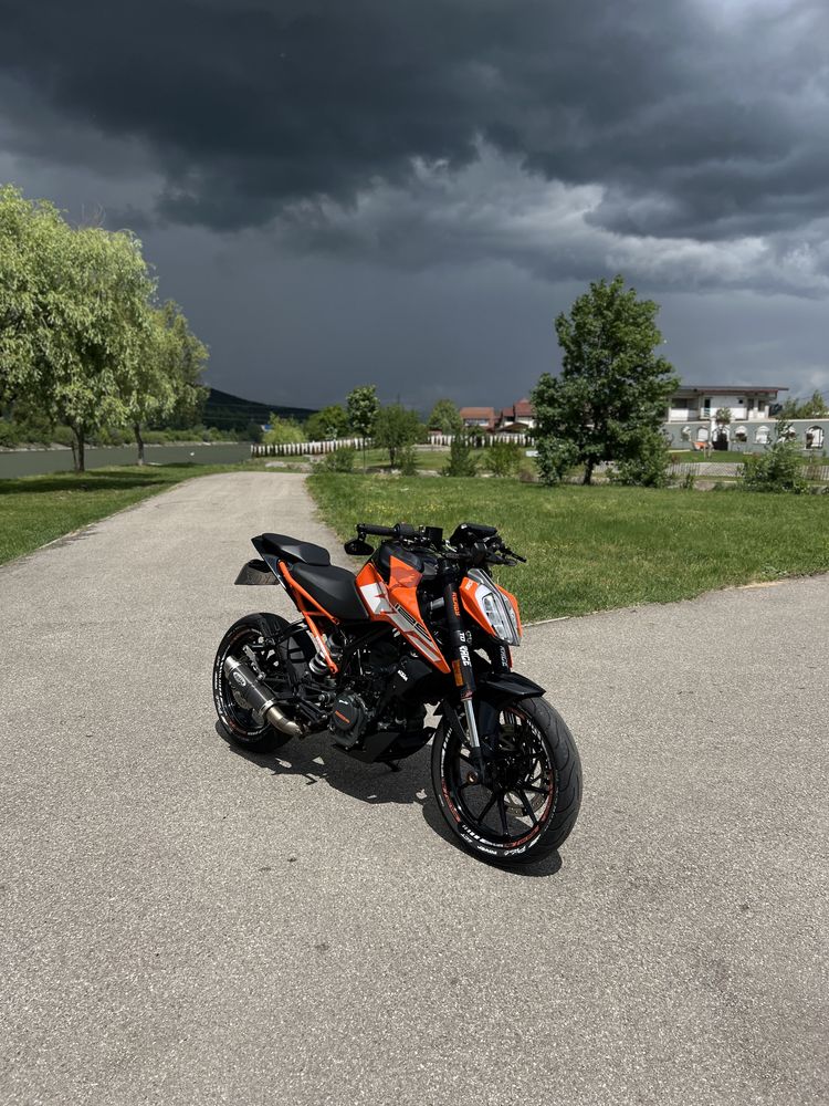 KTM Duke 125 A1