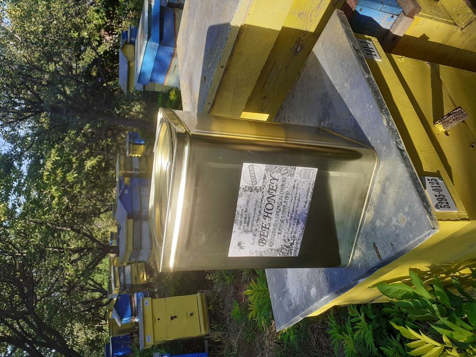 Пчелен мед на едро, директно от производител, реколта 2022