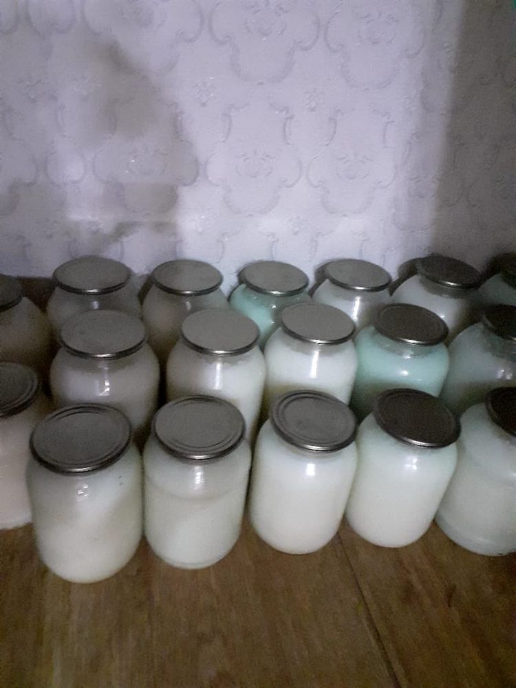 Продам жир свиной