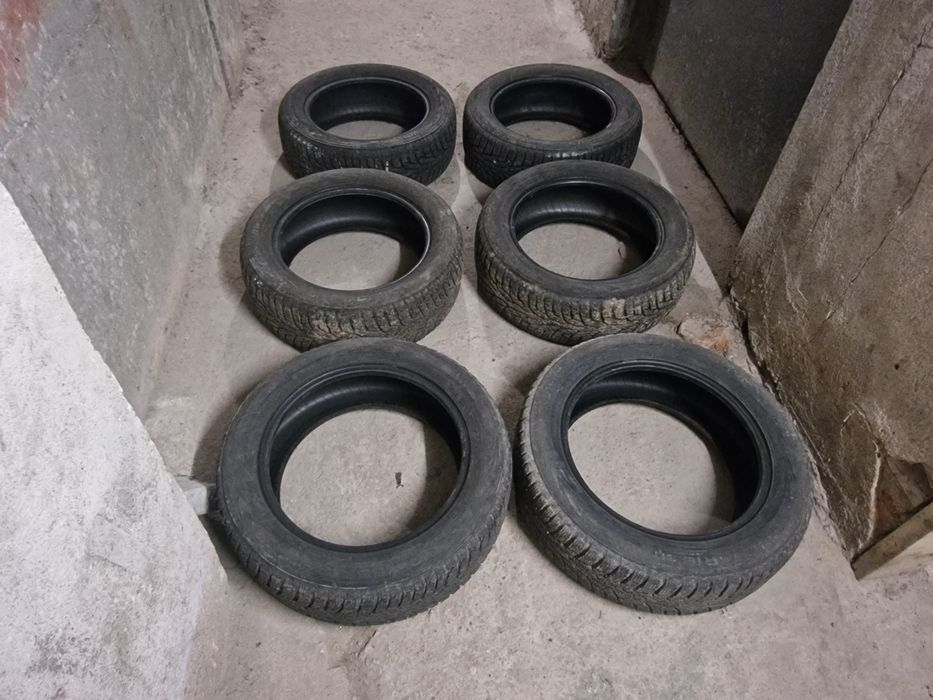 Гуми 205/55/16 Nokian WR-D4