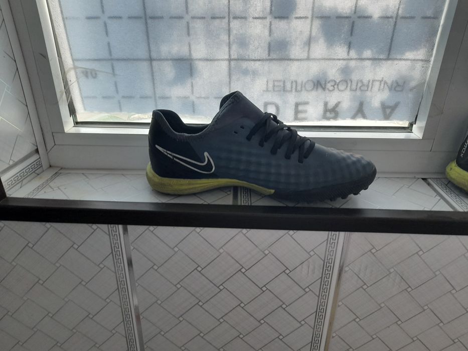 Magista sarakanojka sotiladii