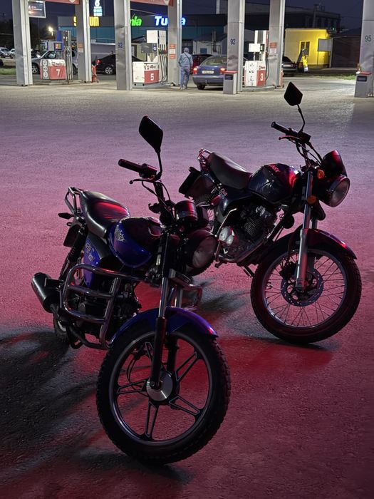 Альфа рейсер 125кубов