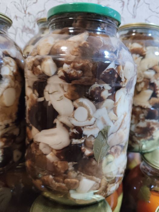 Продам маринованные валуи