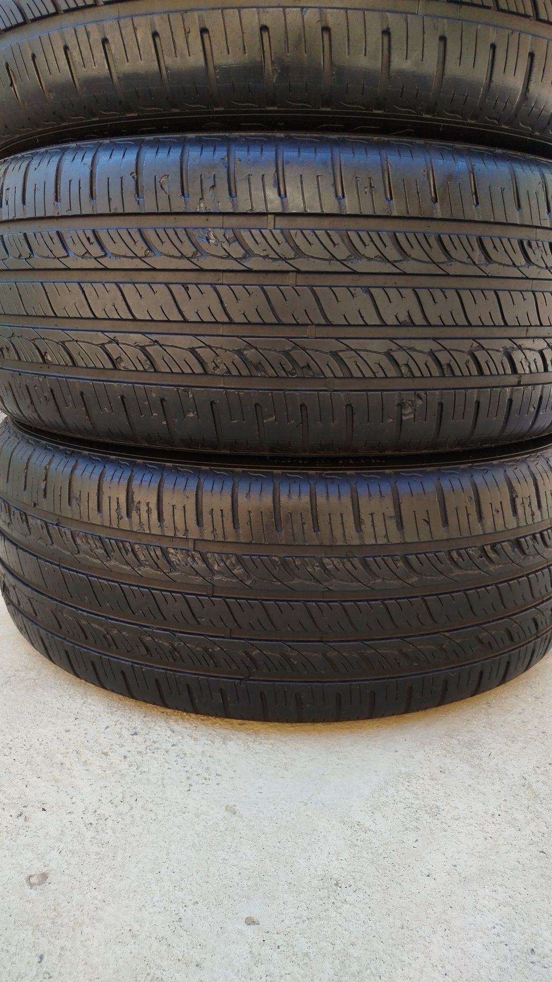 255 50 R20 Shina Royalblaek