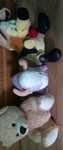 Lot plusuri diverse