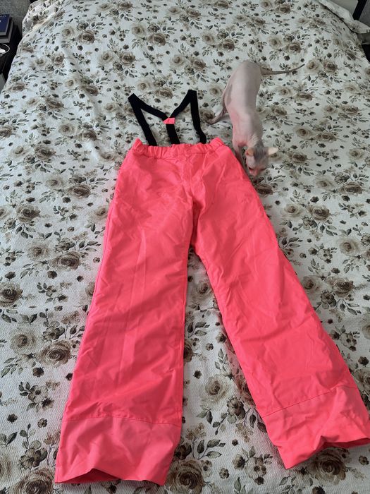 Горнолыжный комплект куртка и штаны 152-164 рост