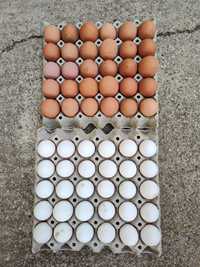Домашни яйца - Винаги Пресни