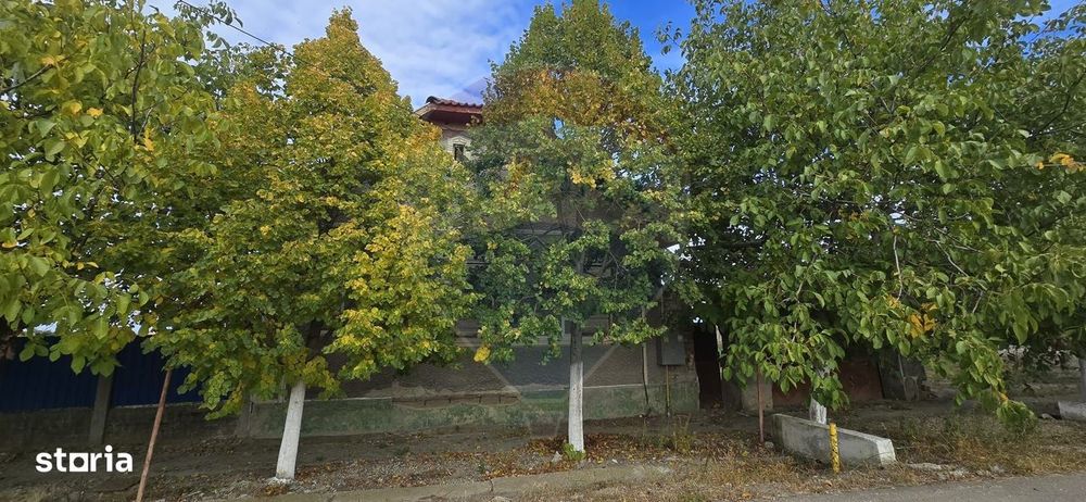 Teren si casă cu teren generos în Socodor