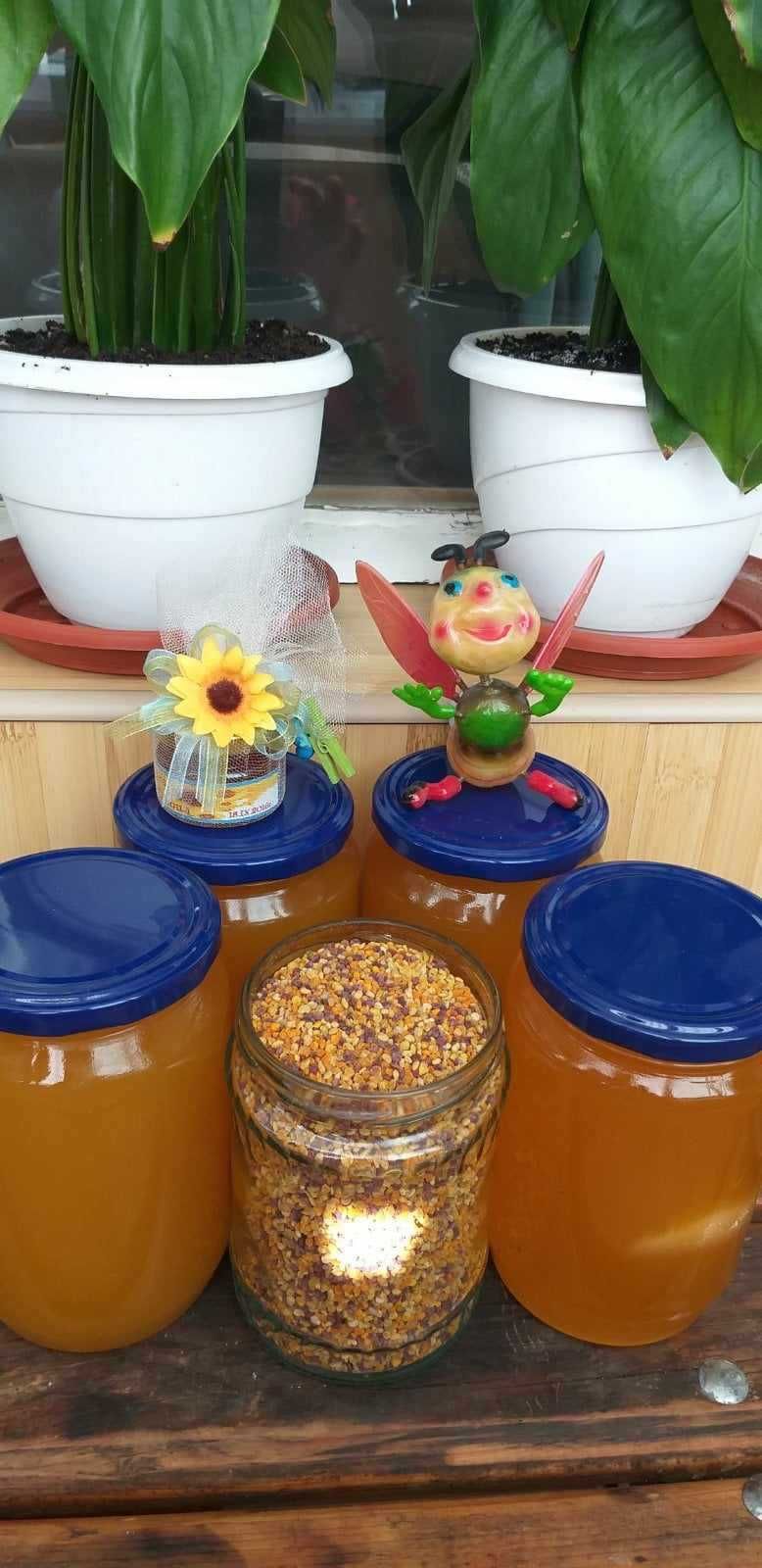 Пчелен билков мед-букет от екологично чист район, реколта 2023!
