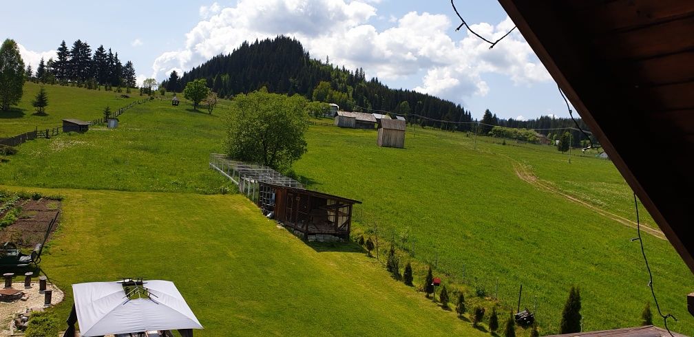 Casa și teren intravilan 14 155 m² de vânzare în loc. Sarisoru Mare j