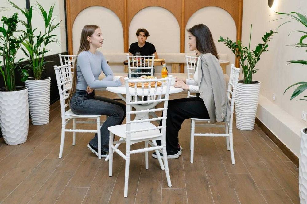 Стулья стул столы мебель ЦЕЗАРЬ 4шт с завода