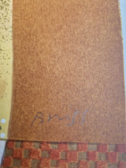 Litografie color Sami Briss