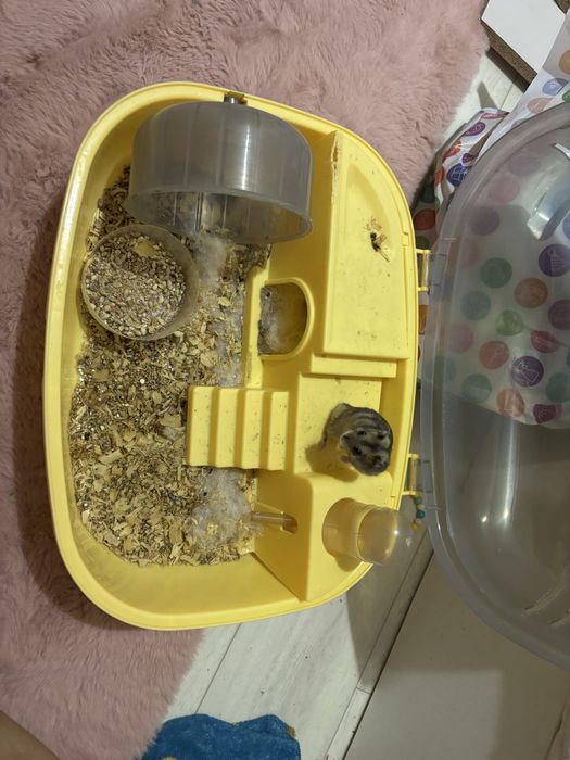 Продам клетку с хомячком