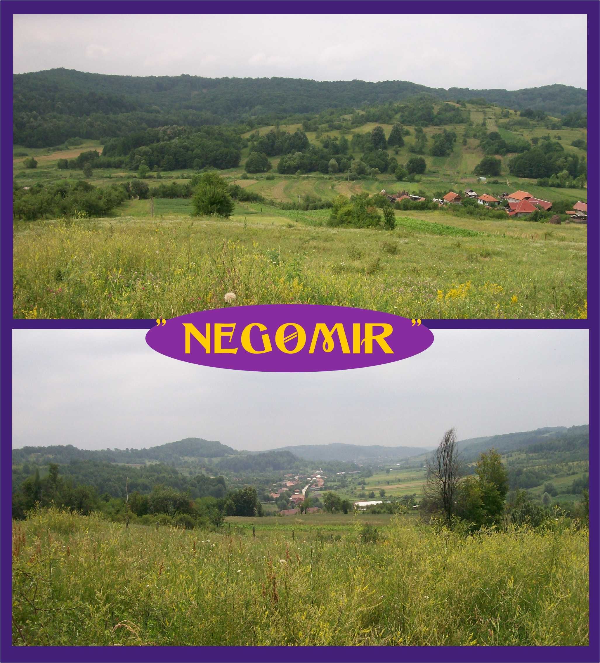 Casa de vanzare in judetul Gorj