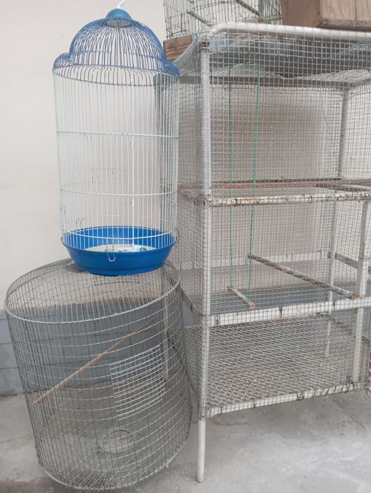 Продается Валер для птиц