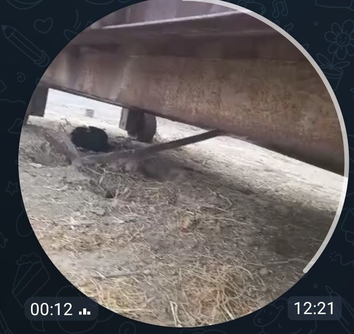 Yuk tarozi ishlamay qolgan