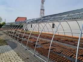 6x10 m Solar de gradina , teava galvanizata Diametrul 38 mm