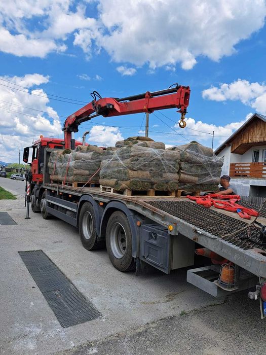 MAN TGS 35.360 Cu MACARA A.F. 2012