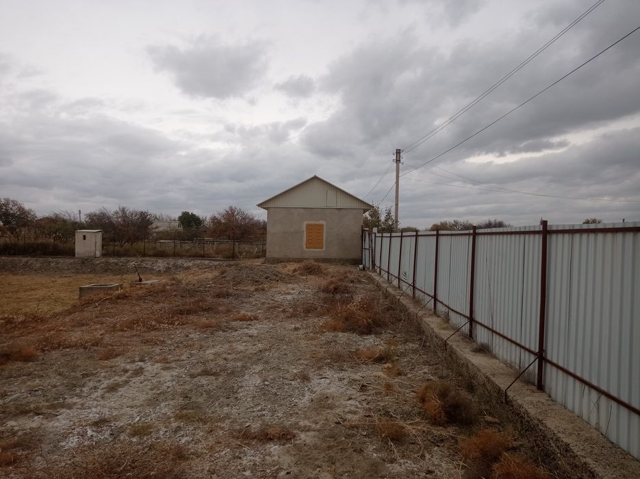 Дача маданият дачалари