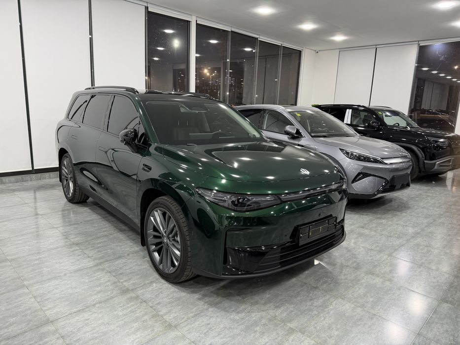 Leapmotor c16 ev ideaal toza