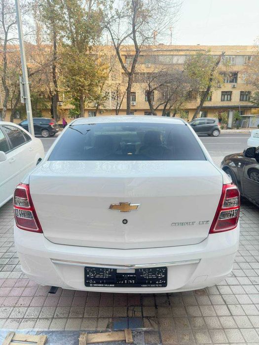 Cobalt style MCM 2025/2026 OQ