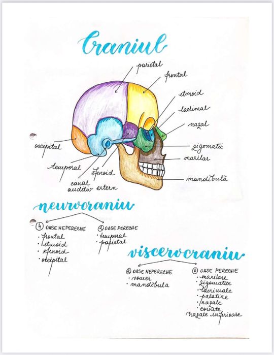 Notițe admitere medicină - biologie