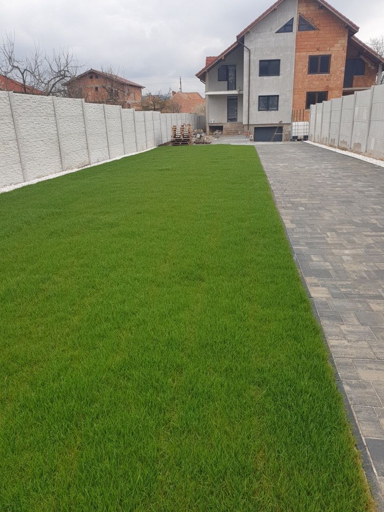 PAVAJ, Plante Ornamentale,Irigatii Automatizate