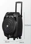 boxa akay x10  cu microfon