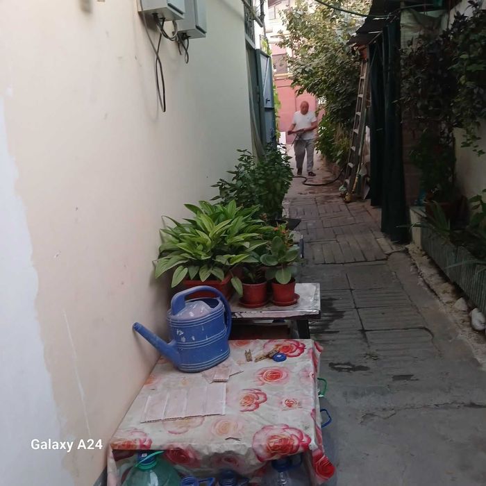 Сдаётся дом Рисовый