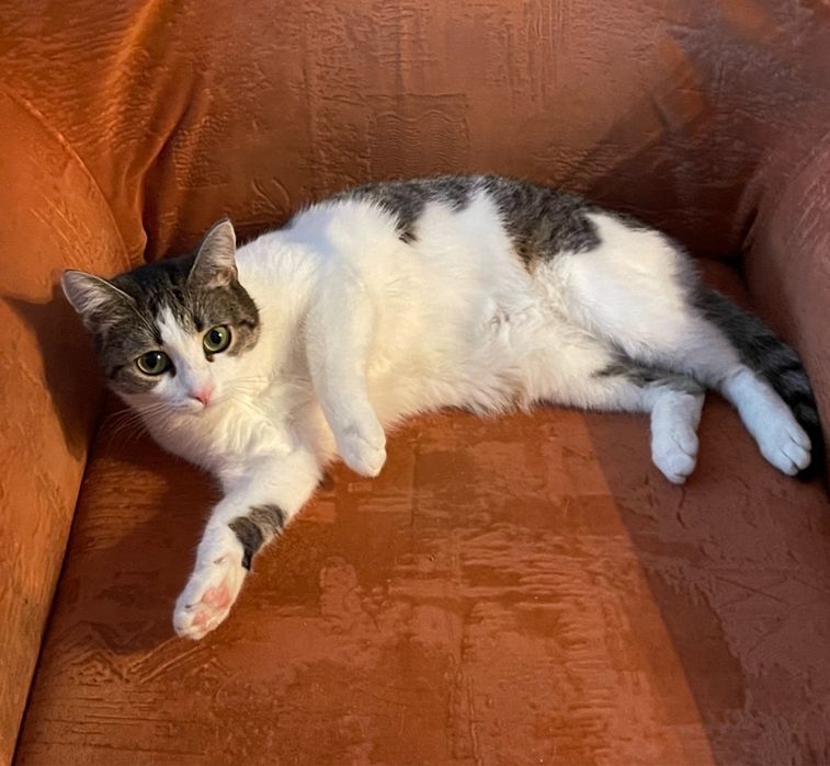 Карамелька в поисках самого лучшего дома!!!