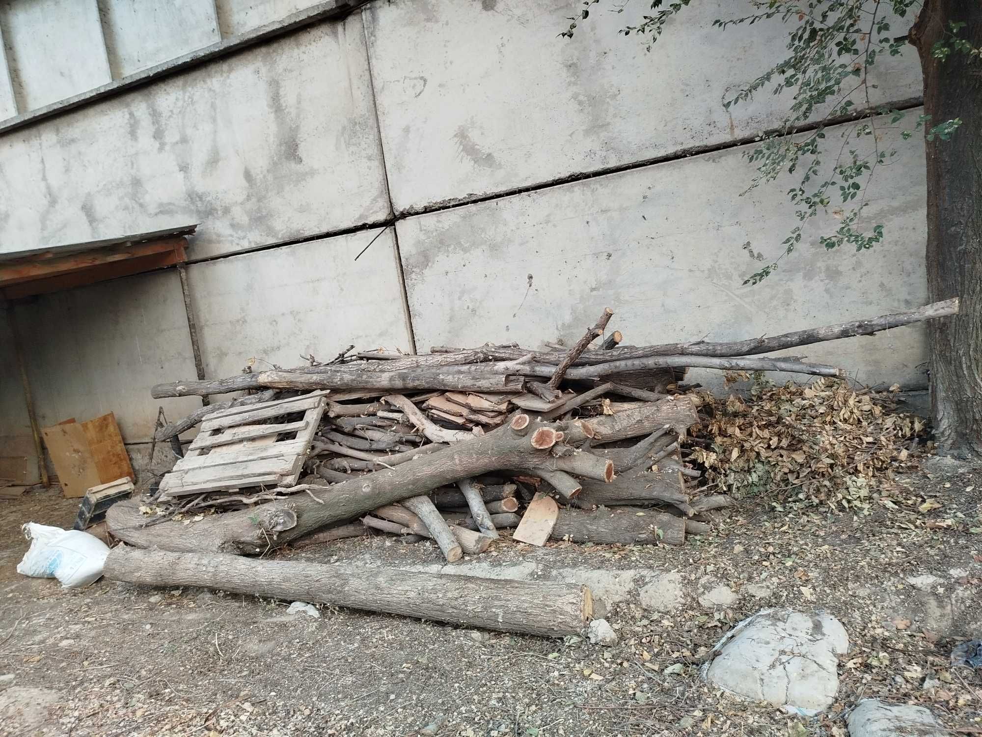 Quruq Kunda va yirik o'tinlar sotiladi narxi 2.5 million so'm