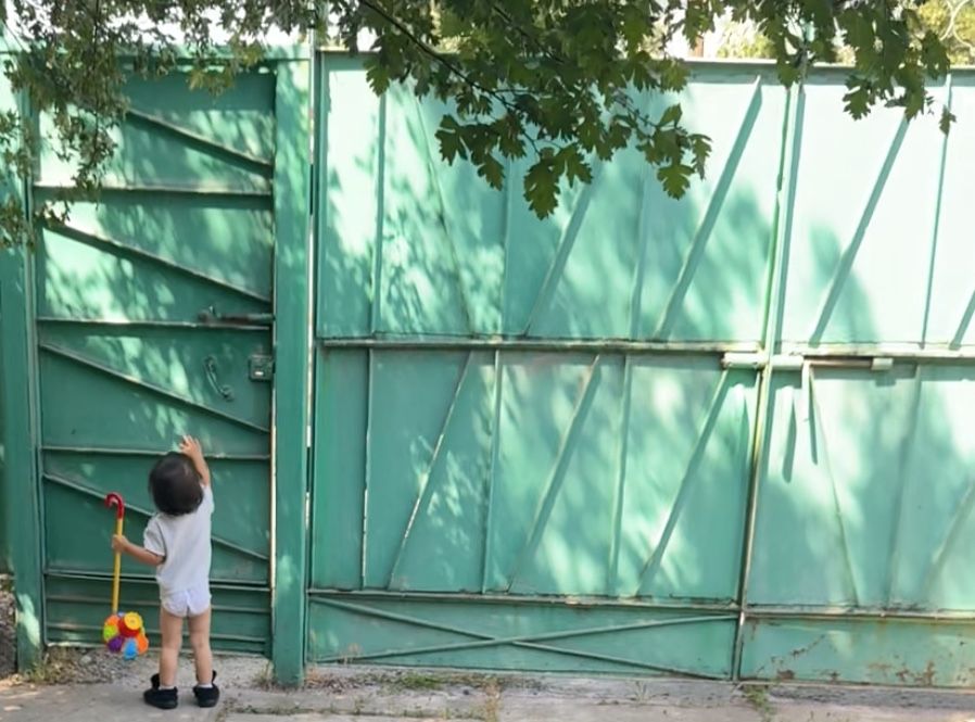 Продается забор салатного цвета