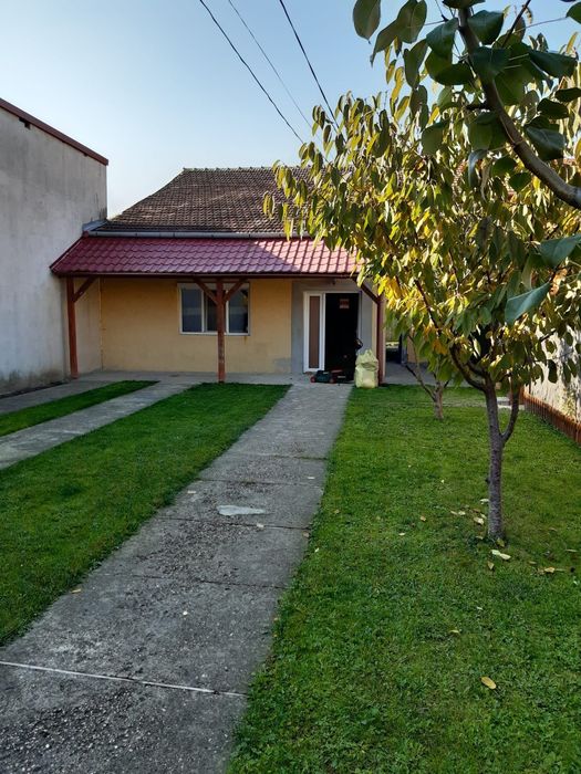 Casa de inchiriat Timisoara